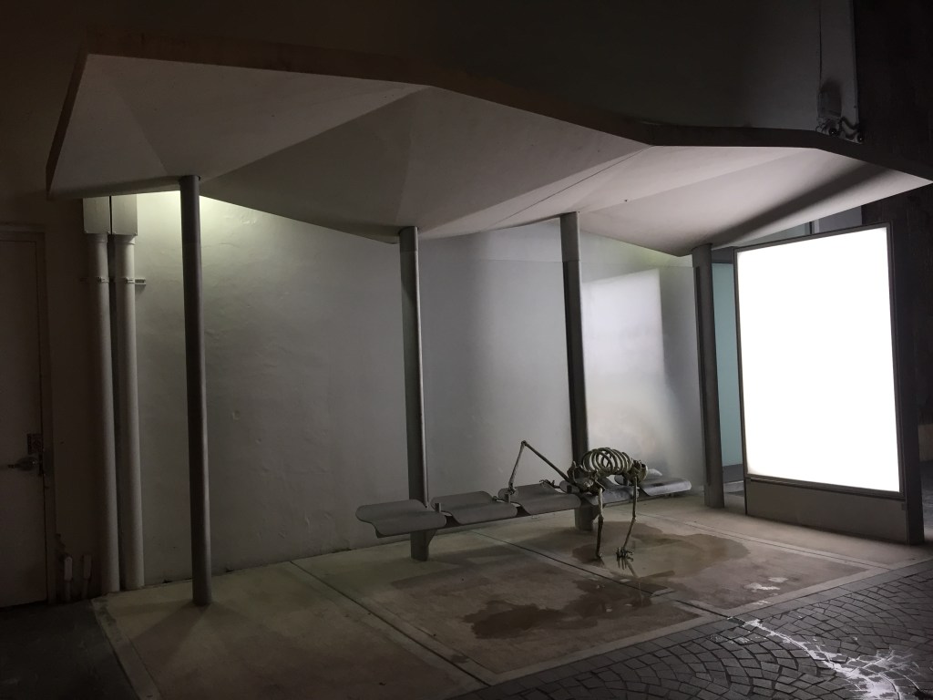 This image has an empty alt attribute; its file name is img_5248.jpg