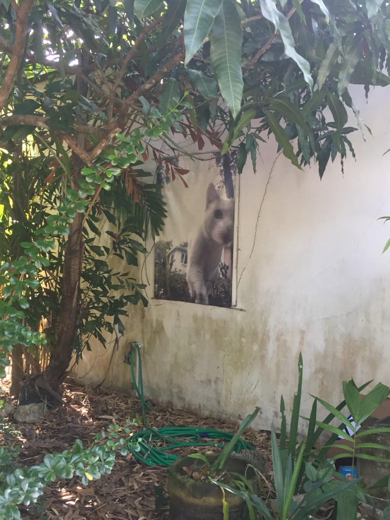 This image has an empty alt attribute; its file name is img_5268.jpg