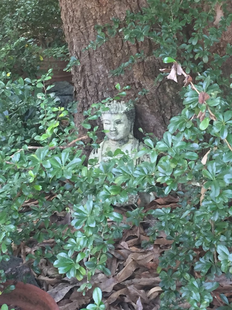 This image has an empty alt attribute; its file name is img_5269.jpg